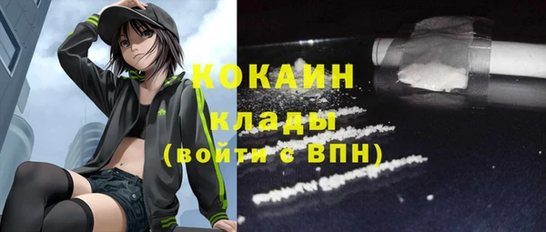 хмурый Алексин
