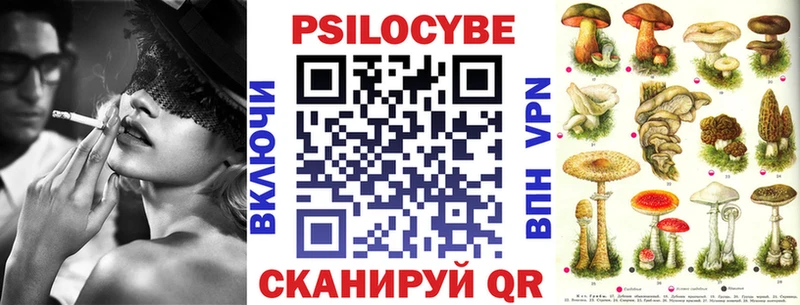 Псилоцибиновые грибы Psilocybine cubensis  магазин  наркотиков  Белокуриха 