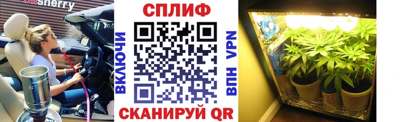 Каннабис ГИДРОПОН  где можно купить   Белокуриха 